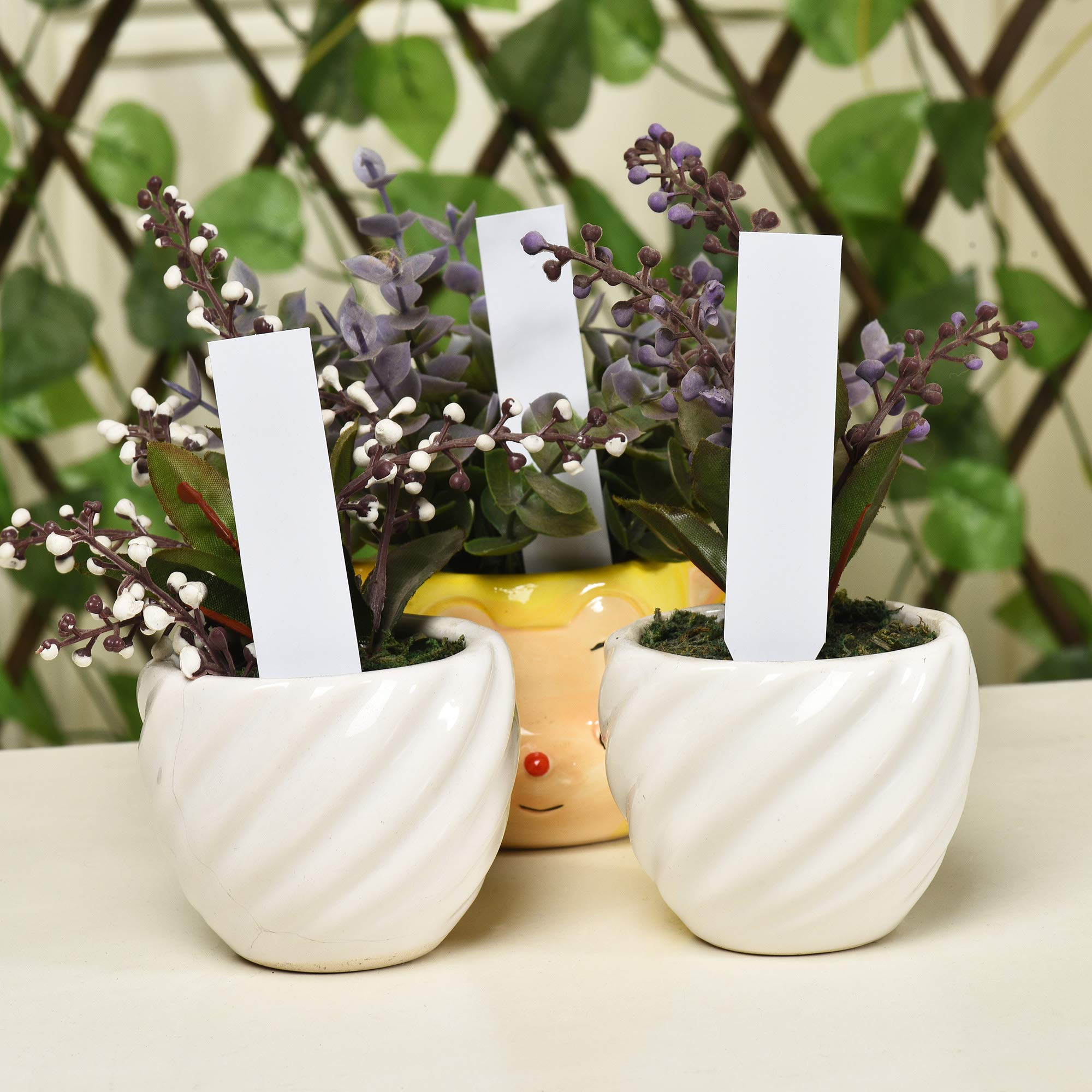 MIHEY easy-to-insert plant tags fit into soil with ease