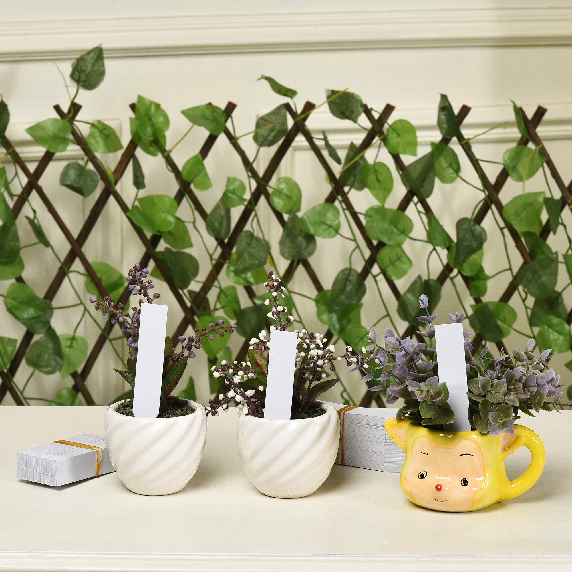 MIHEY garden labels help organize planting areas and track care