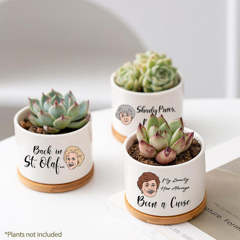 Mikopei Golden Girls pot featuring Blanche, great for air plants on a windowsill.
