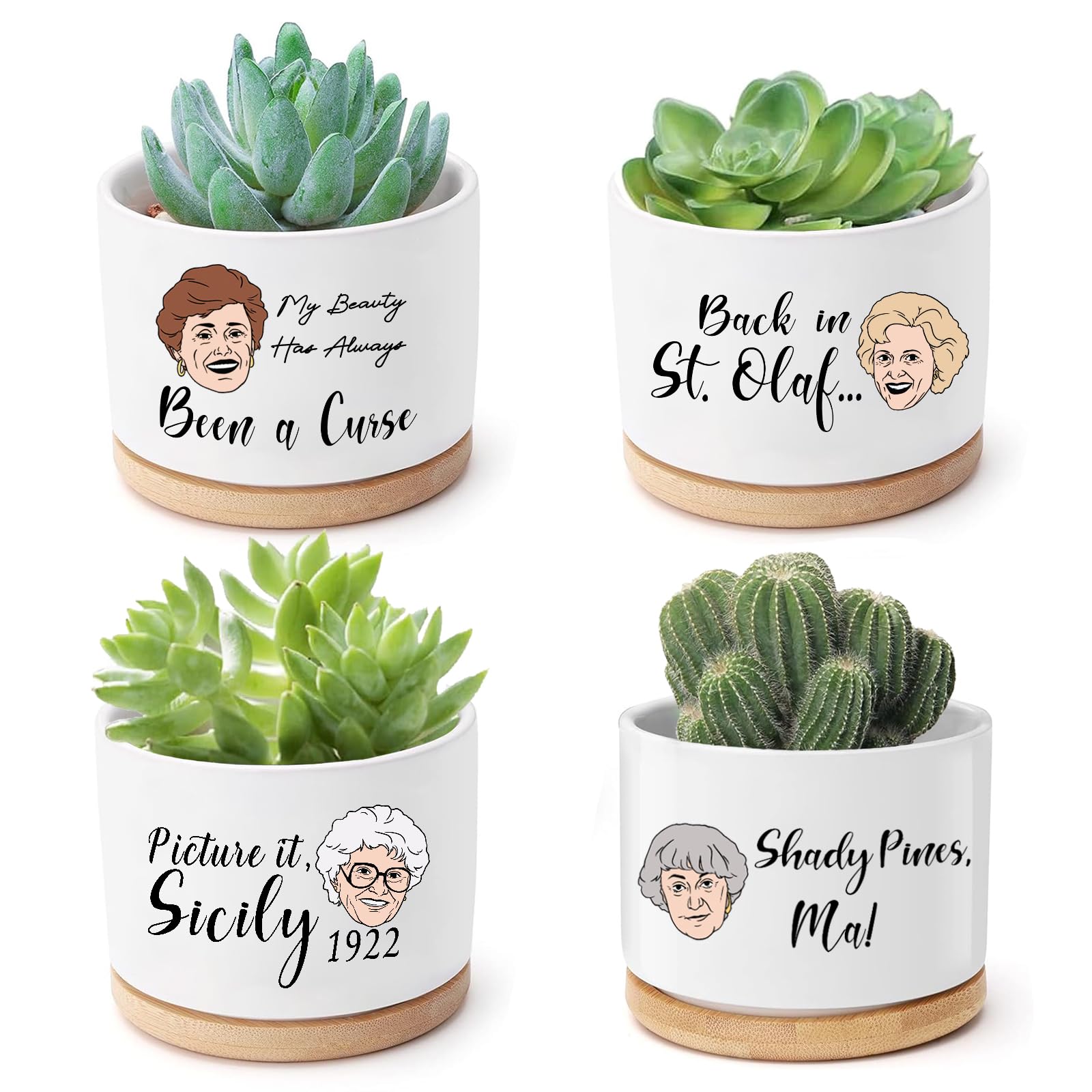 Mikopei Golden Girls pot with Dorothy illustration, perfect for succulents on your desk.