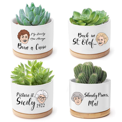 Mikopei Golden Girls pot with Dorothy illustration, perfect for succulents on your desk.