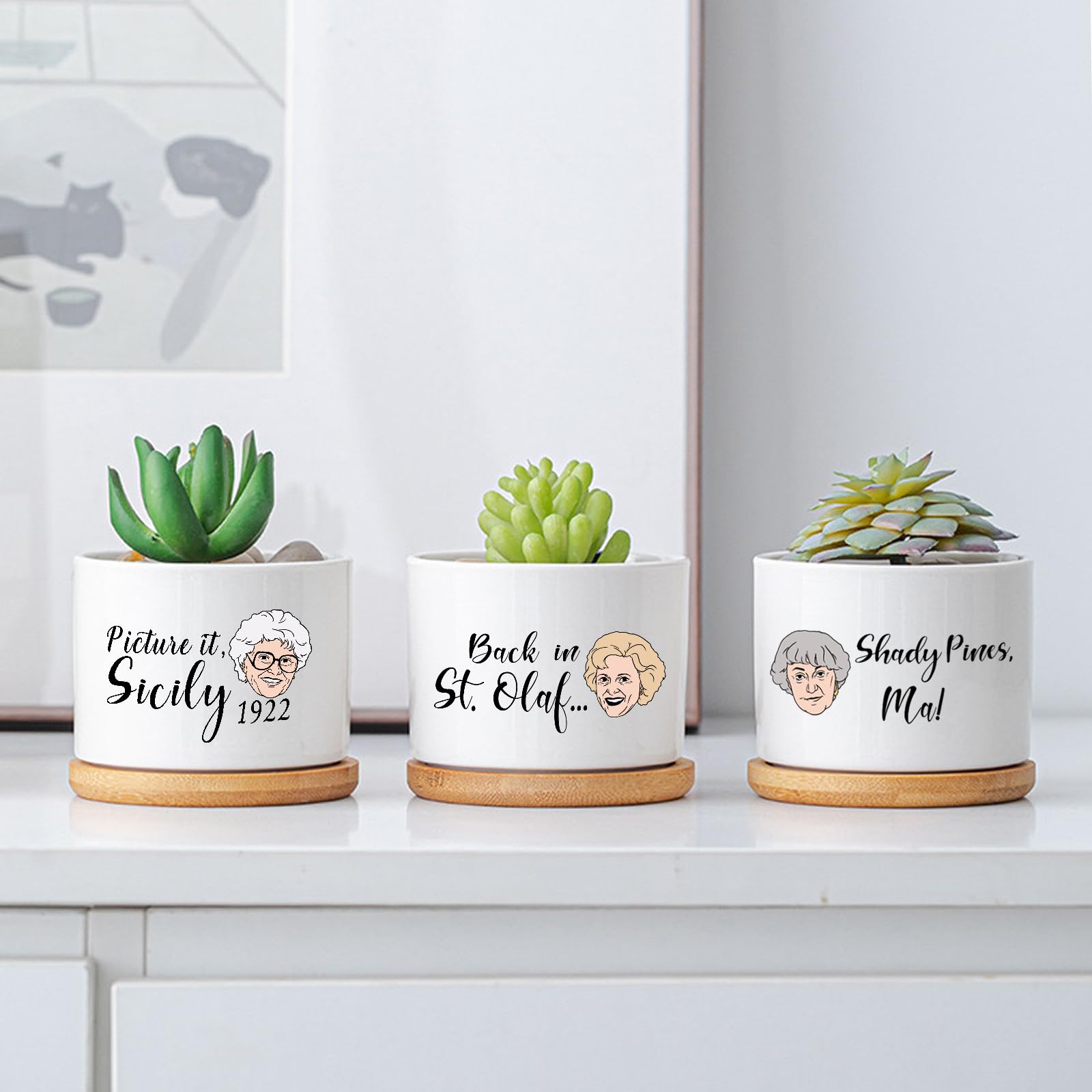 Mikopei Golden Girls pot with Rose art, ideal for small herbs on a shelf.