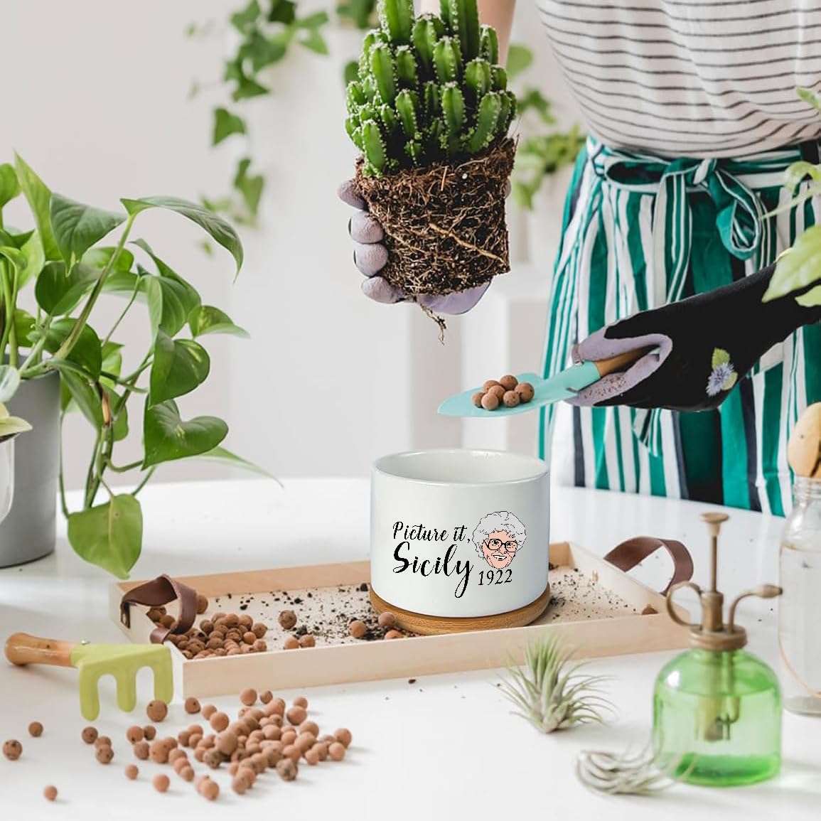 Mikopei Golden Girls pot showing Sophia, perfect desk decor with humor.