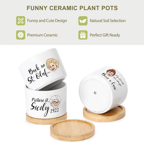 Mikopei set on a desk decor for plant loving fans.