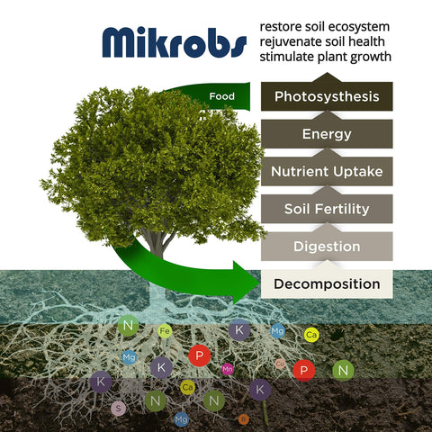 Mikrobs-billions-of-microbes-in-soil close-up shows thriving soil ecosystem.