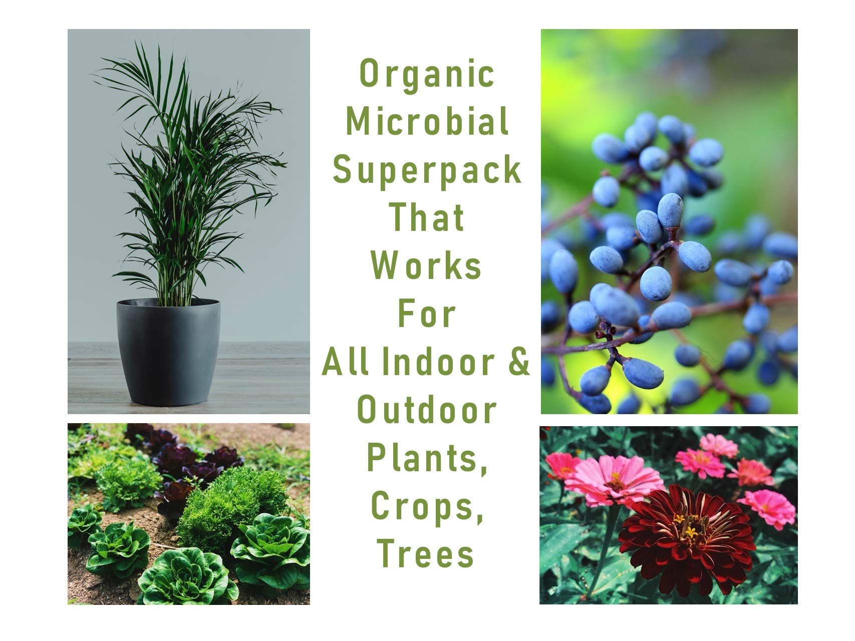 Mikrobs-made-in-usa-bottle shown on packaging signals domestic production and quality.