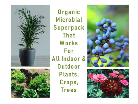 Mikrobs-made-in-usa-bottle shown on packaging signals domestic production and quality.