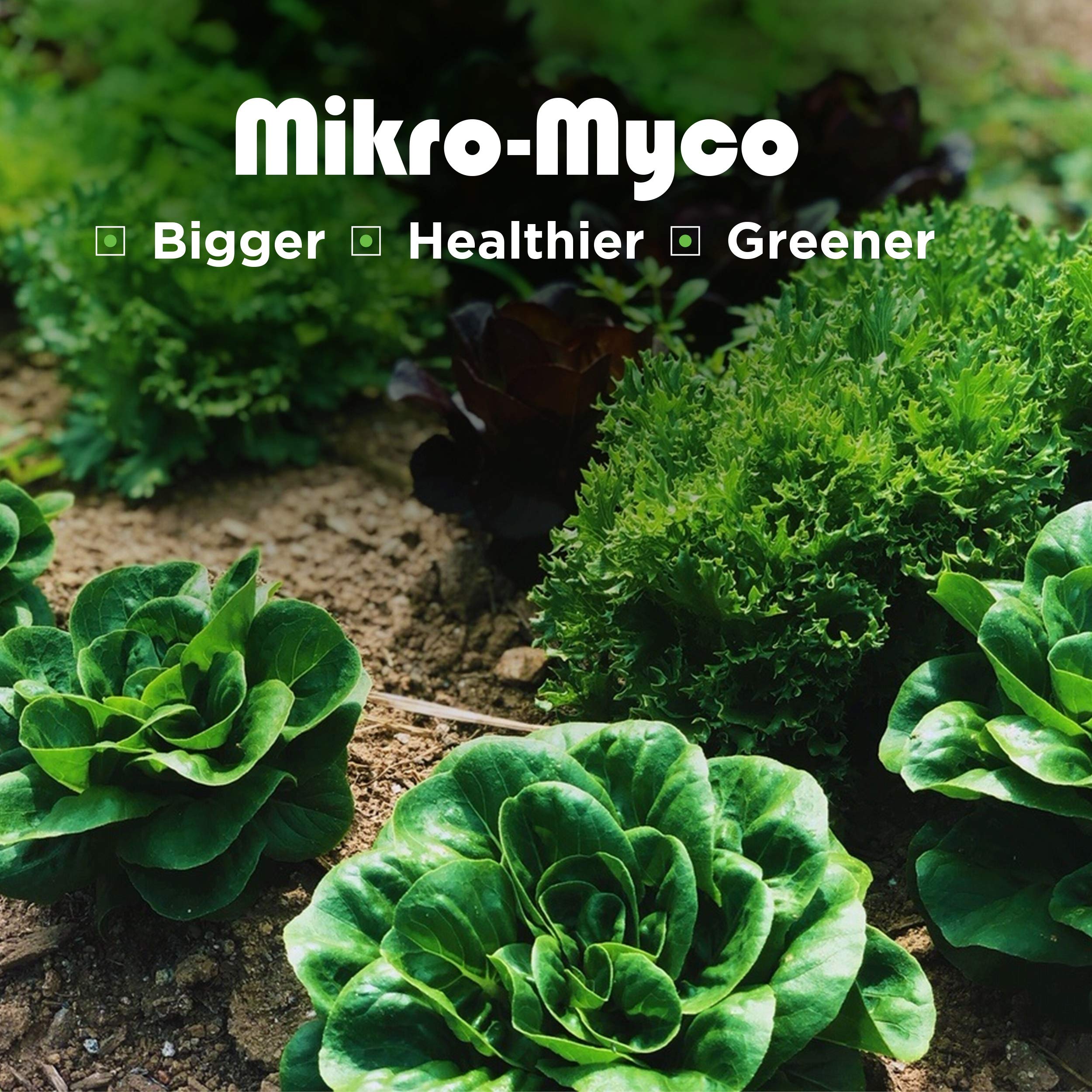 Mikrobs Mikro-Myco soil microbiome ecosystem supports rhizosphere activity.