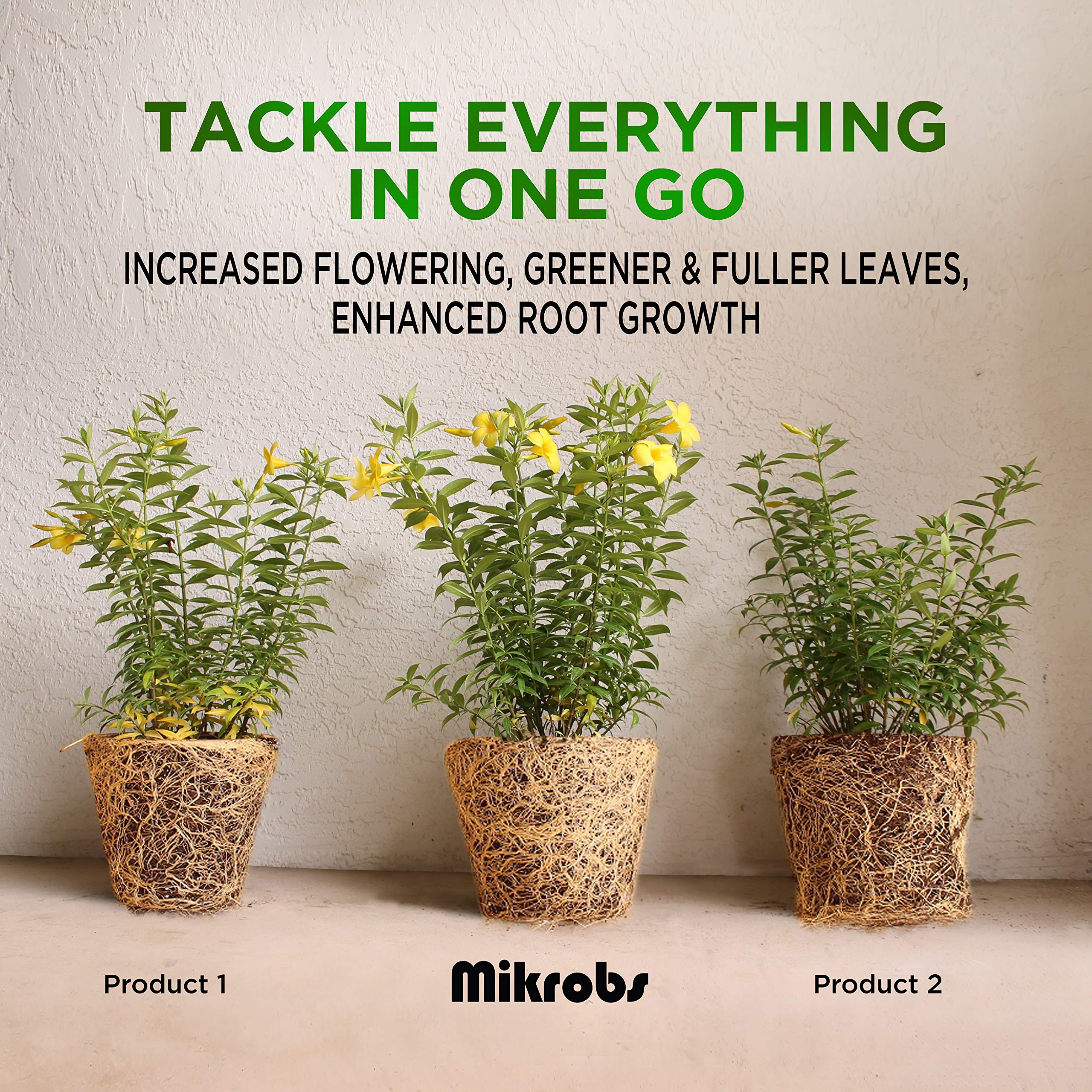 Mikrobs-plant-growth-and-flower-vibrance demonstrates stronger growth and vibrant blooms.