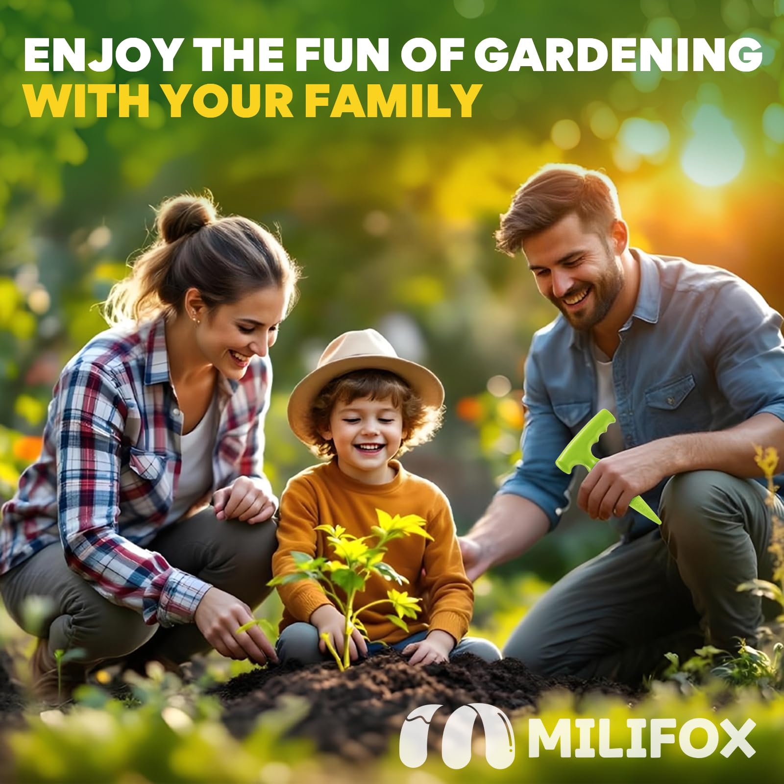 Milifox bulb-digger in action for accurate planting depth and spacing.