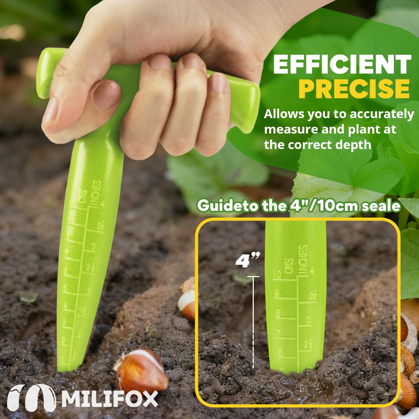 Milifox T-shaped bulb planter in action for clean hole punching.