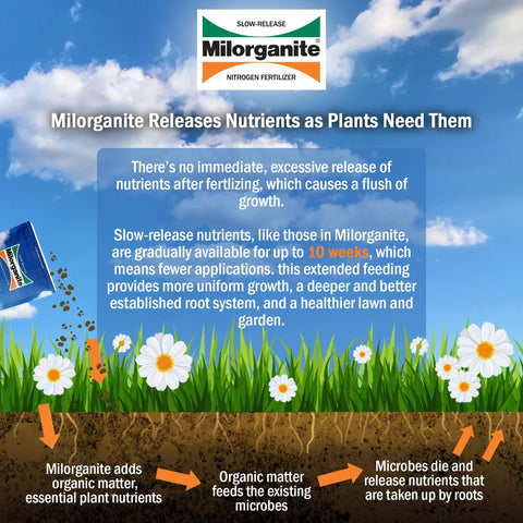 Milorganite supports flowers and shrubs with steady nutrients