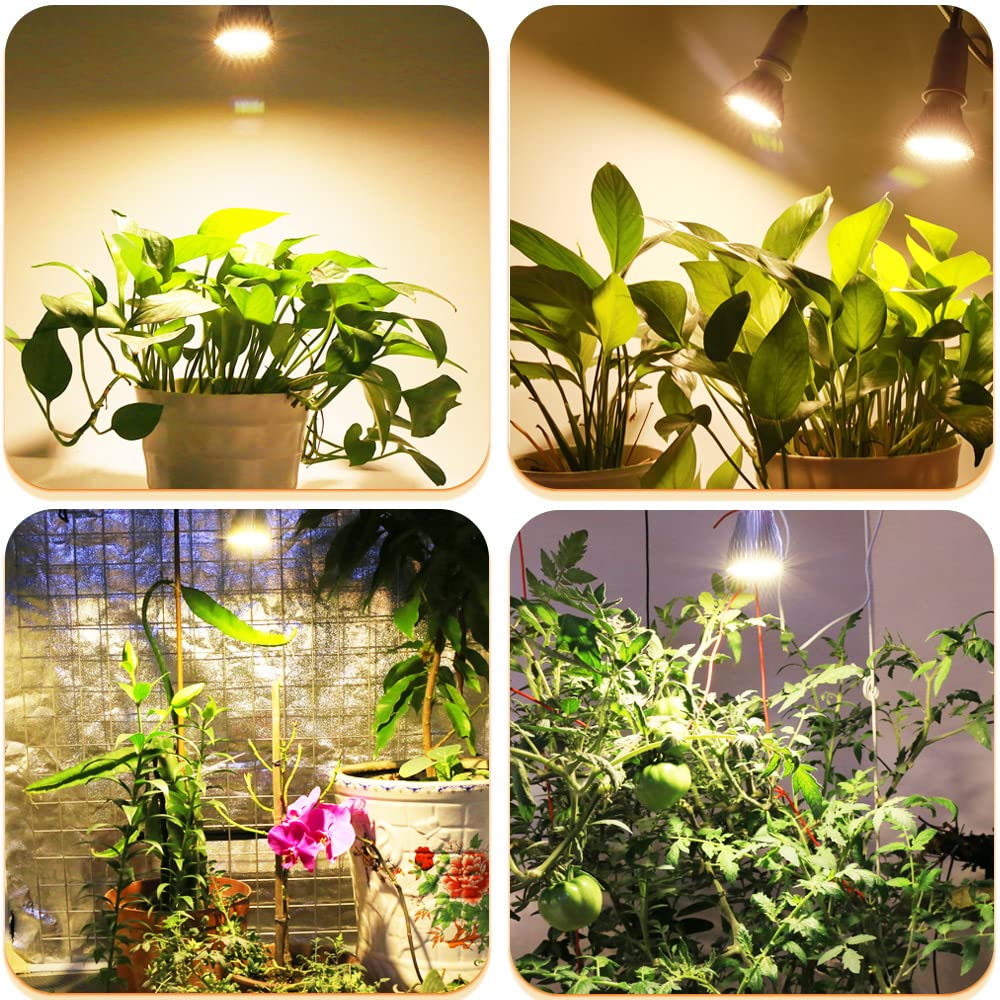 Coverage up to 2-3 sq ft under MILYN grow light bulb