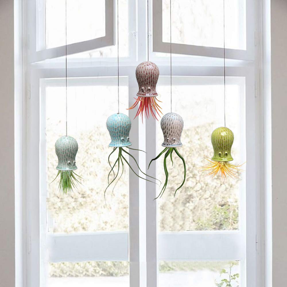 Mimeela ceramic octopus planter decorates walls with tiny air plants