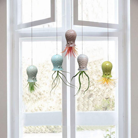 Mimeela ceramic octopus planter decorates walls with tiny air plants
