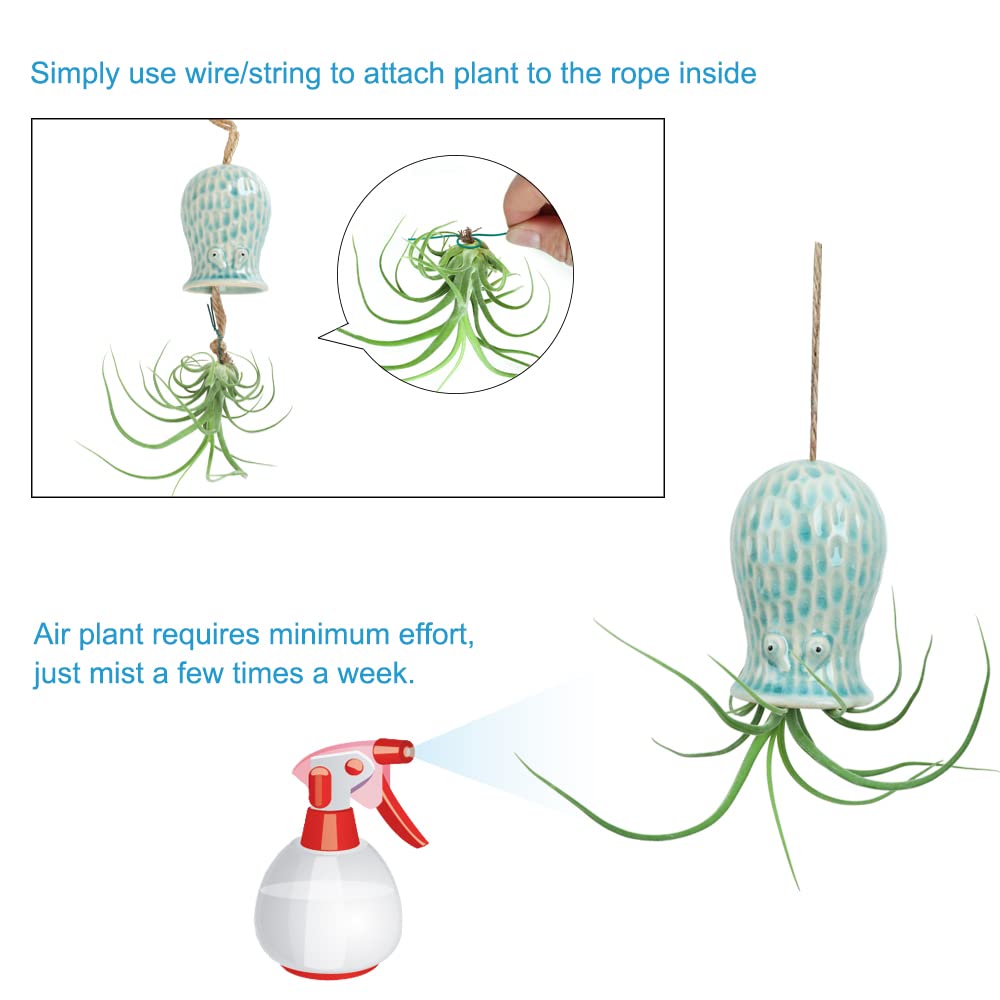 Mimeela octopus air plant holder green adds whimsy to shelves