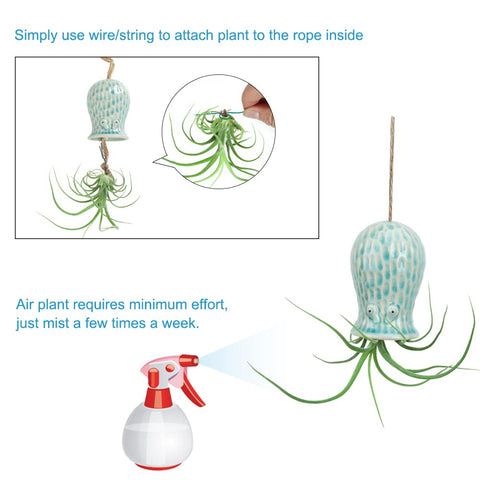 Mimeela octopus air plant holder green adds whimsy to shelves