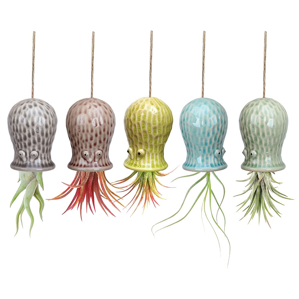 Mimeela octopus air plant holder in yellow adds playful home decor