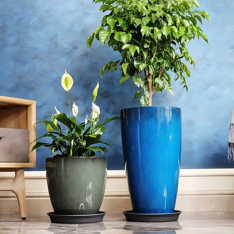 MinCHI257 drainage-hole-and-saucer solution keeps surfaces dry during watering