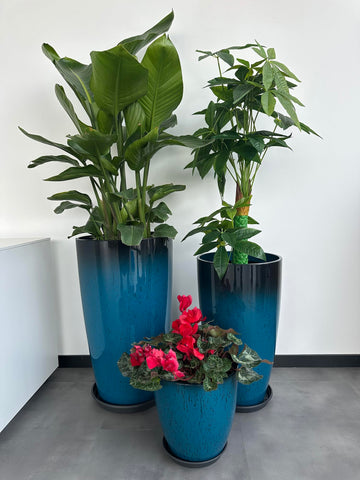 MinCHI257 easy-to-move design simplifies rearranging plants