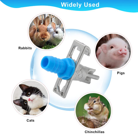 MingQiEven gravity water supply setup showing reliable, hands-free hydration.