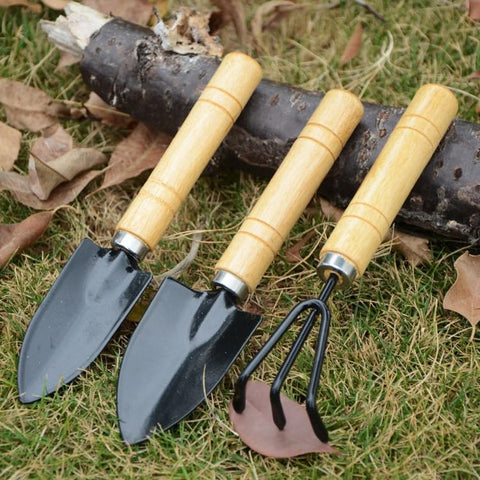 Mini Gardening Tool Set: rake head for gentle soil loosening around succulents.