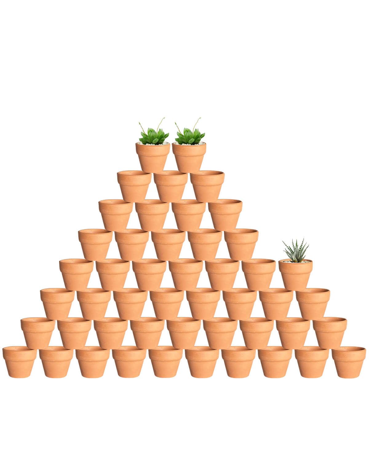 Mini Terracotta pot 2 inch closeup showing drainage hole for healthy root airflow