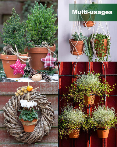 Mini Terracotta pot 2 inch perfect for herb gardens on balconies