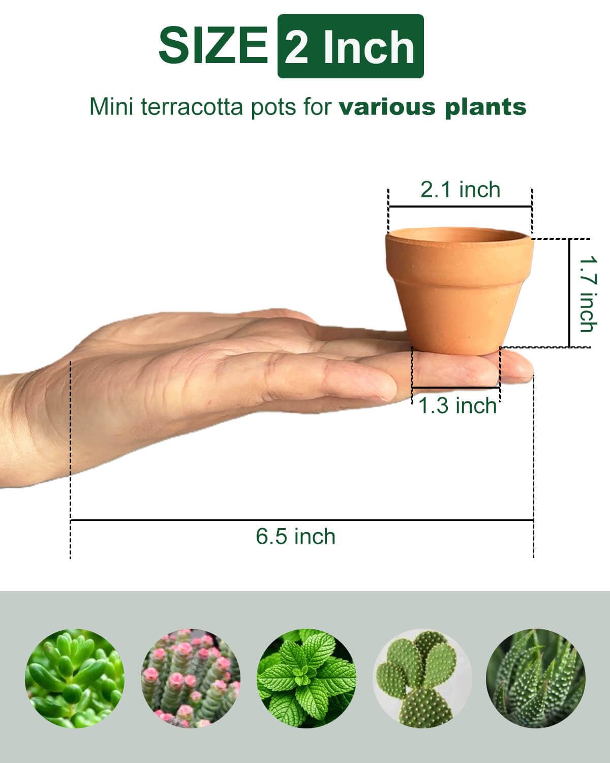 Mini Terracotta pot 2 inch pack of 48 ready for starter plant kits