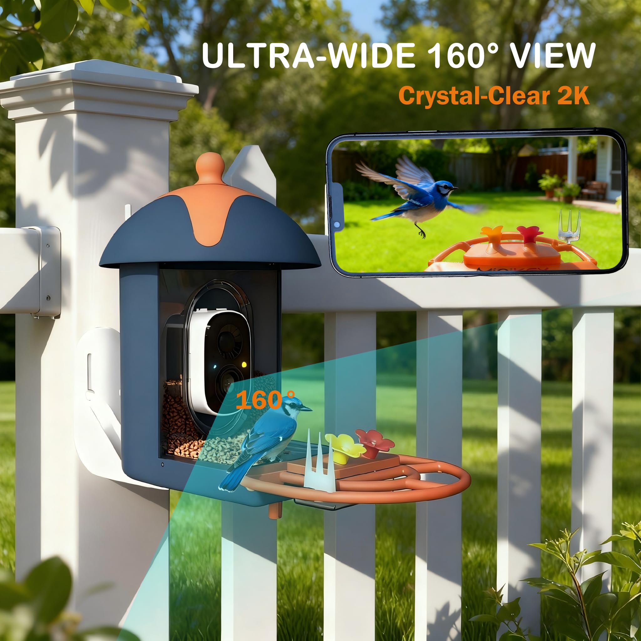 2K HD view from Minikey feeder with night vision and wide angle