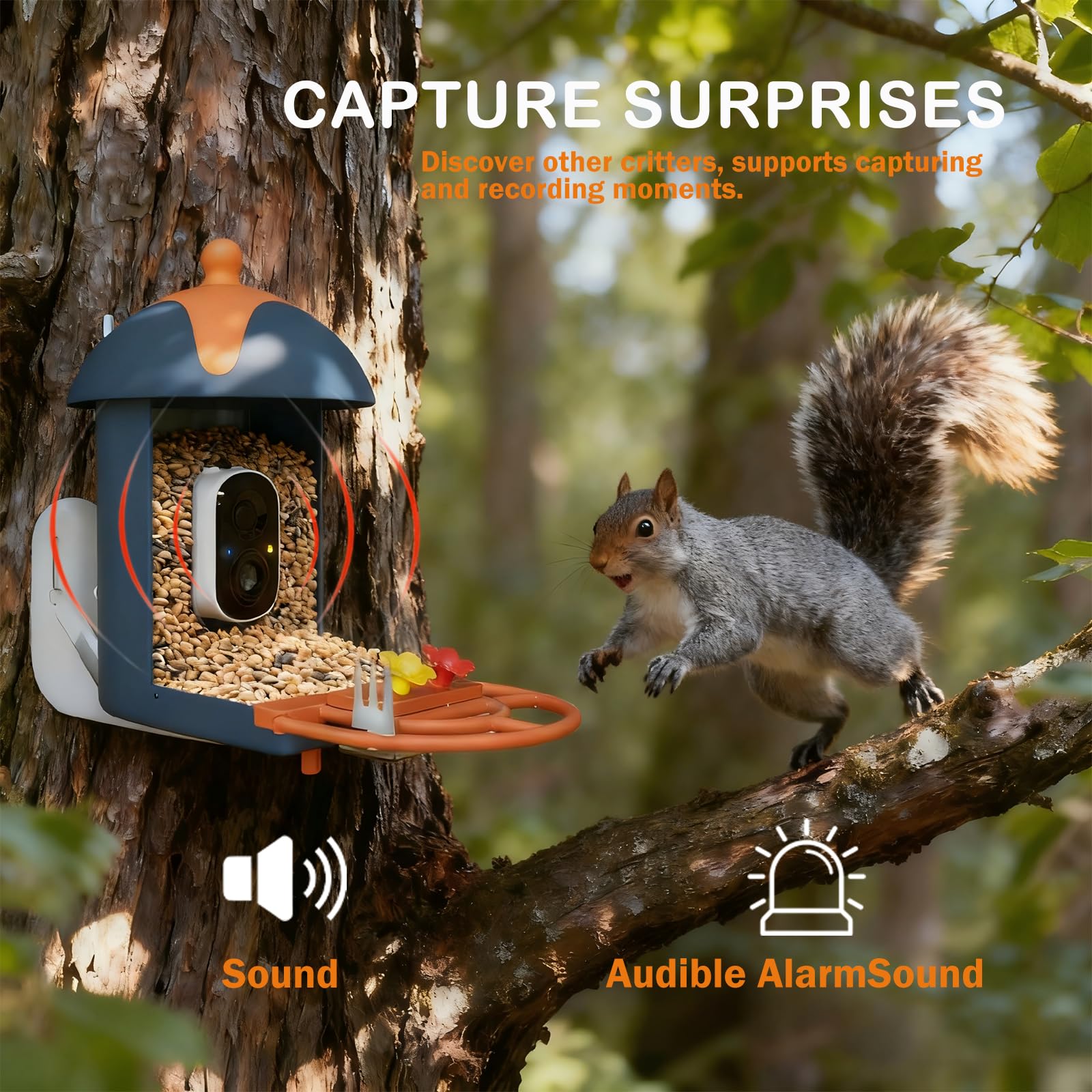 Du al anti-squirrel defense guards the feeding station