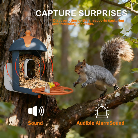 Du al anti-squirrel defense guards the feeding station
