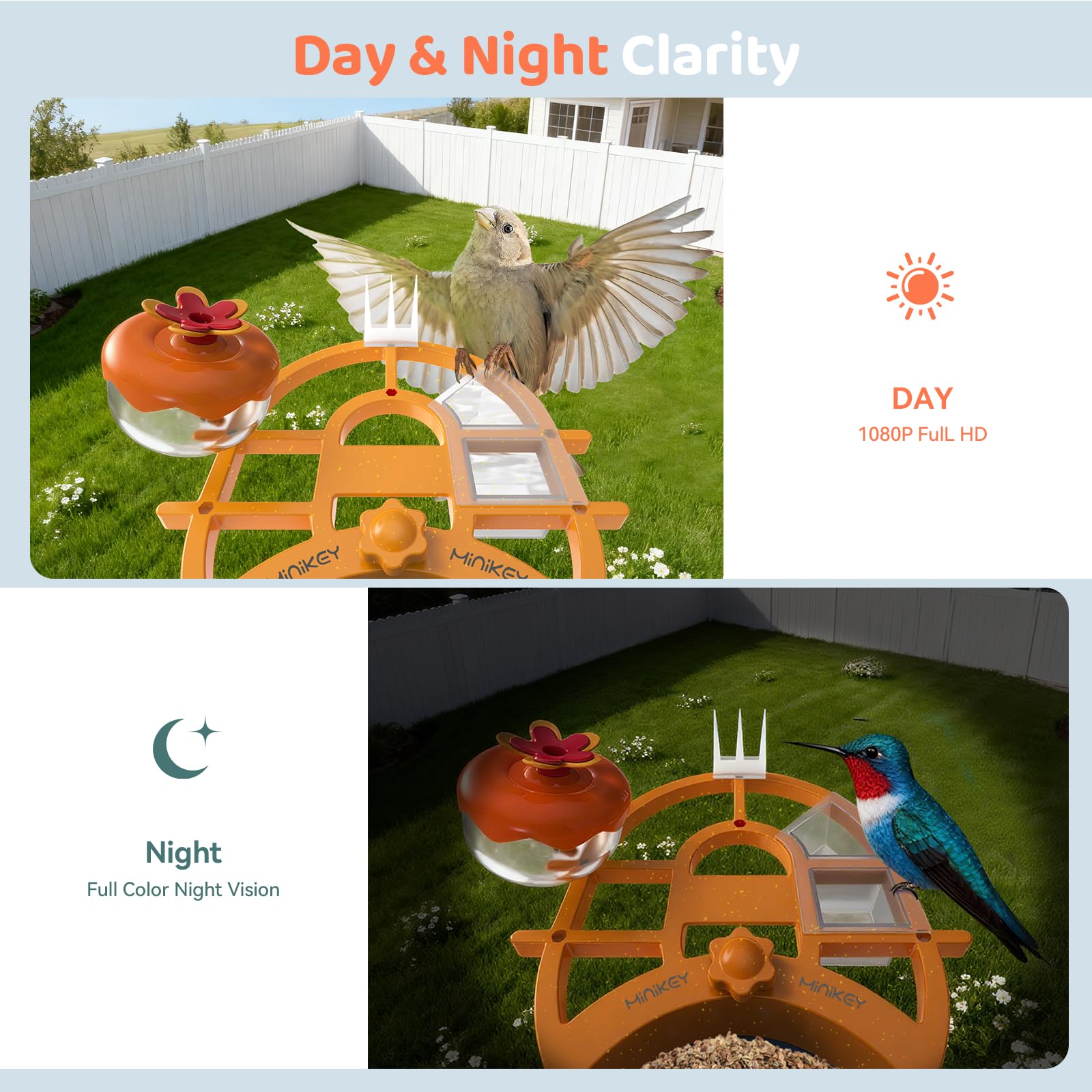Minikey 2K video quality keeps visiting birds in sharp detail.