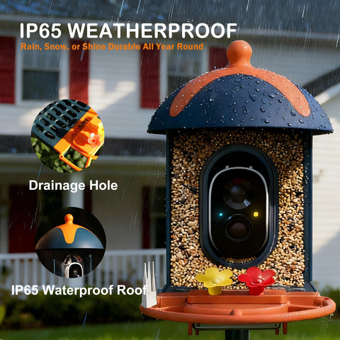 Minikey app shows live alerts for visiting birds and squirrels