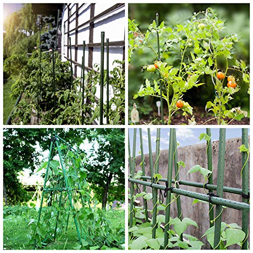 Mininfa 25-pack bundle ready for multiple garden projects.