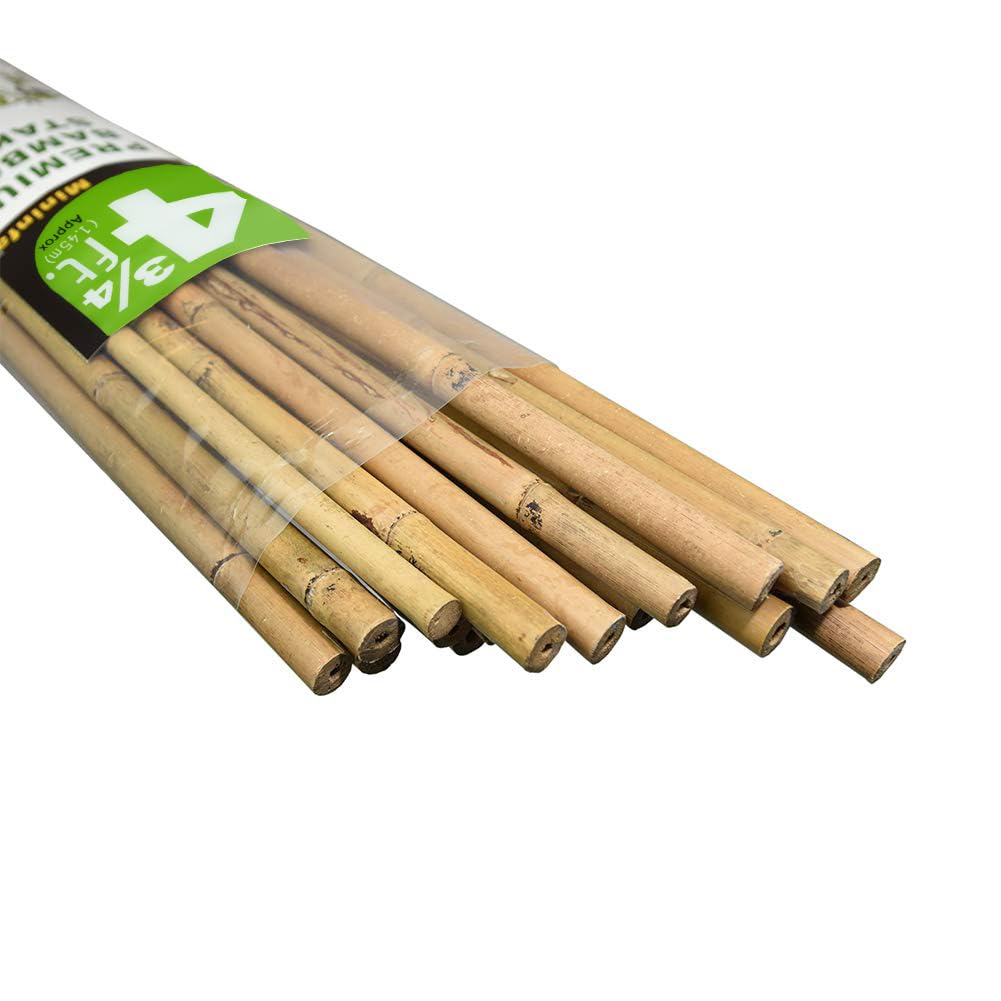 Mininfa bamboo stake 57-inch pack provides sturdy ground support for climbing plants.