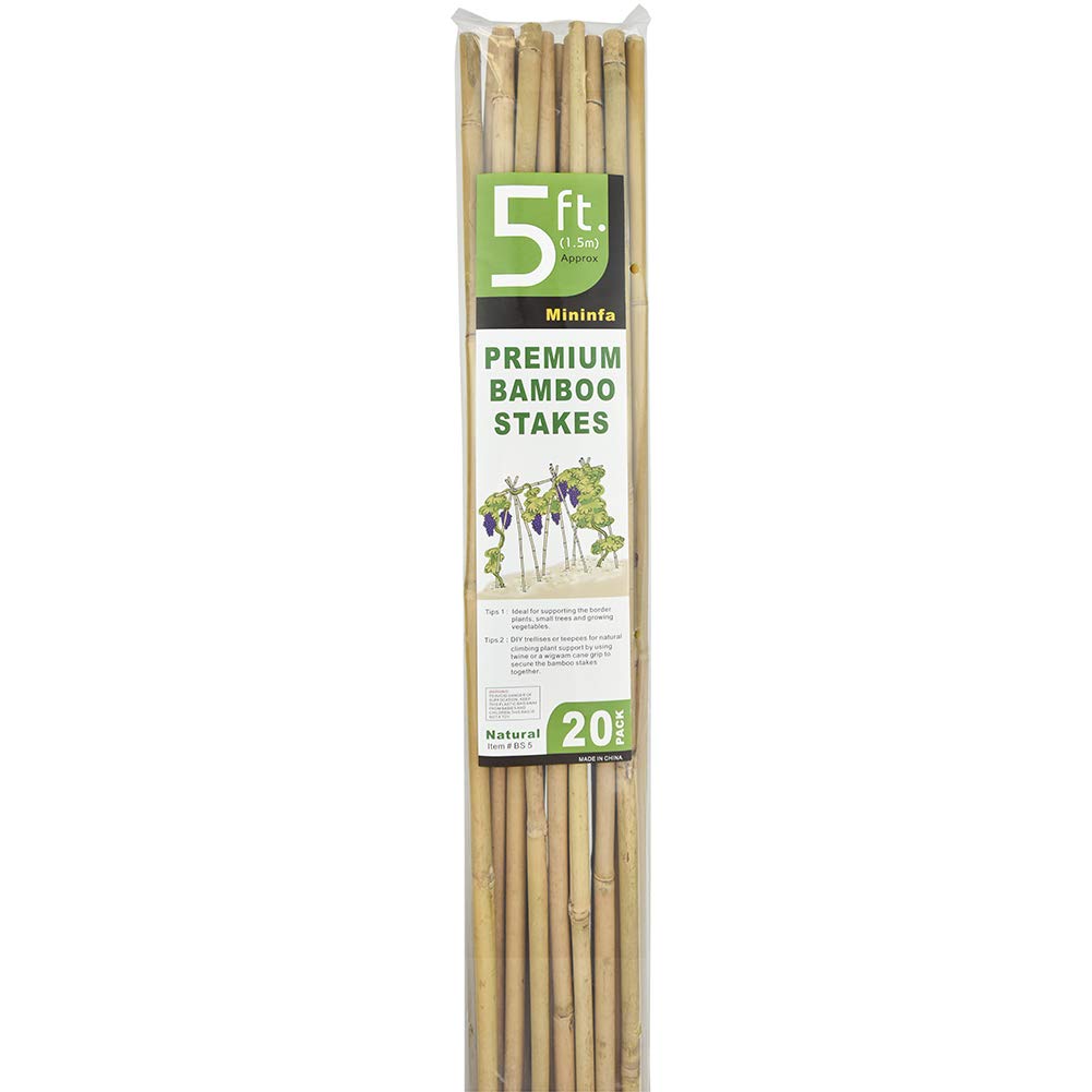 Mininfa stake demonstrates durable, flexible garden support ideal for long seasons.