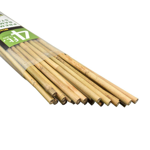Mininfa bamboo stakes 4 ft package supports tomatoes and other climbers.