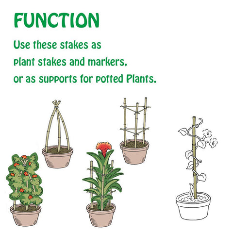 Mininfa bamboo stakes support peppers and shrubs with flexible strength.