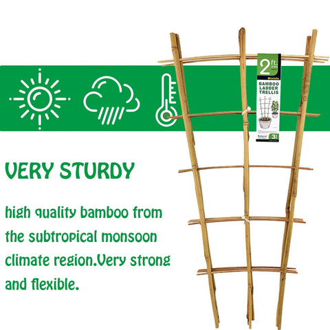 Mininfa bamboo trellis close-up highlighting heat-treated durable bamboo