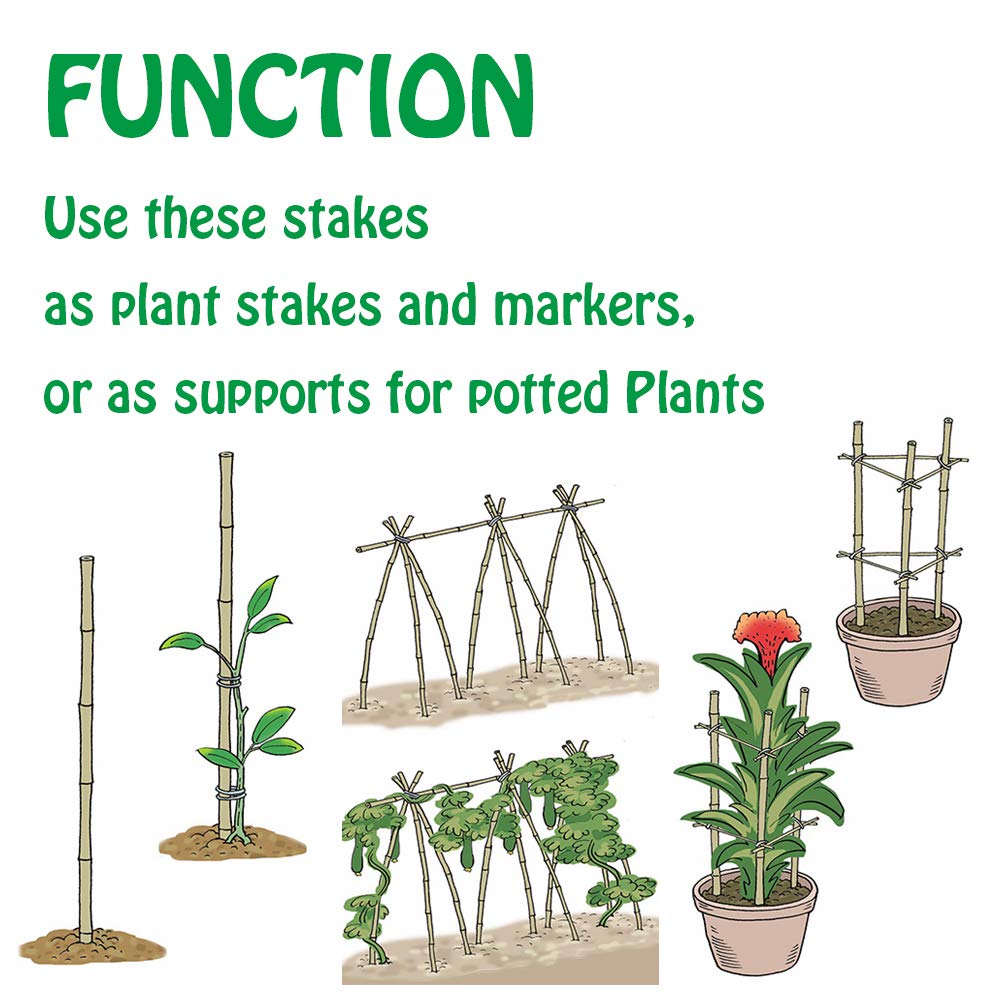 Mininfa bean-vine stakes 6 ft stabilize climbing crops for healthy fruit