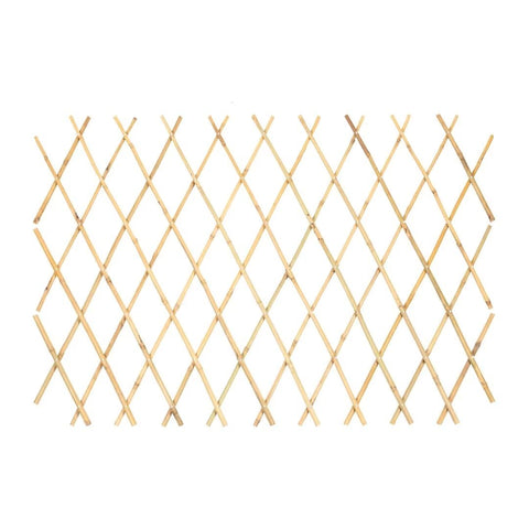 Mininfa expandable bamboo trellis in open position supports climbing plants and creates garden structure