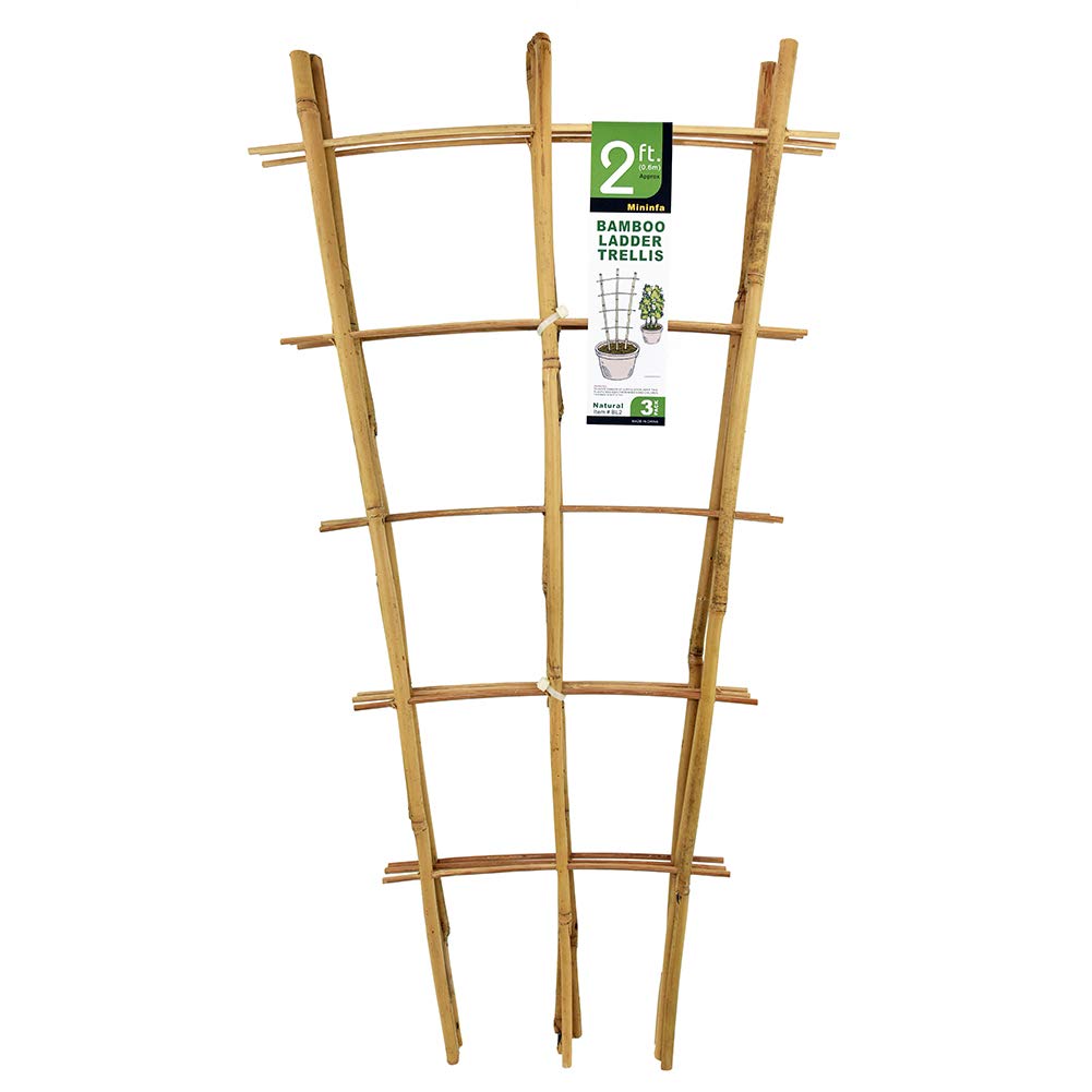 Mininfa natural bamboo ladder trellis front view for sturdy 24-inch plant support
