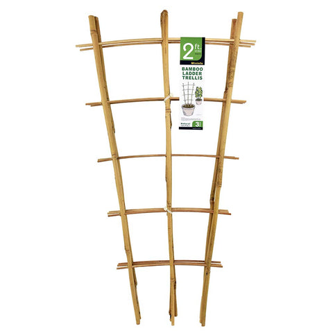 Mininfa natural bamboo ladder trellis front view for sturdy 24-inch plant support