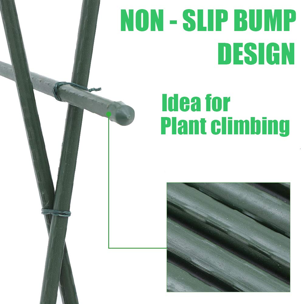 Mininfa 4 ft stake supports climbing beans and tomatoes for vertical growth.