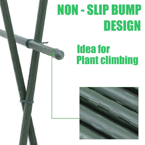 Mininfa 4 ft stake supports climbing beans and tomatoes for vertical growth.