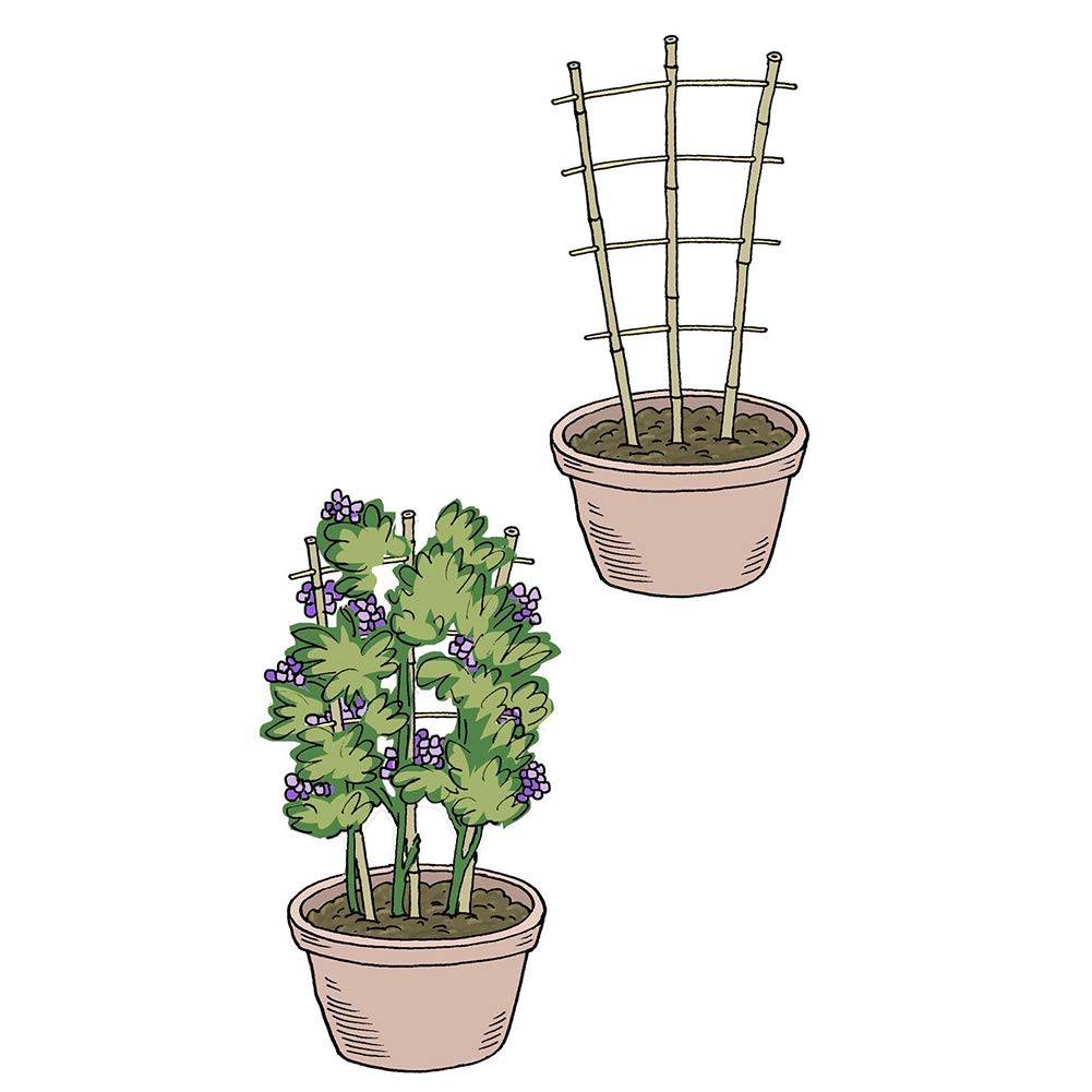 Mininfa 24in pot trellis supporting tomatoes and cucumbers with a durable frame