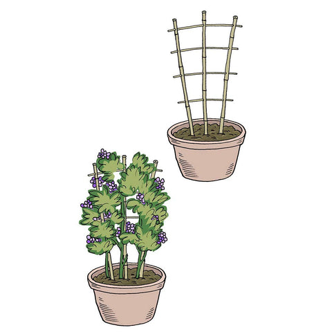 Mininfa 24in pot trellis supporting tomatoes and cucumbers with a durable frame
