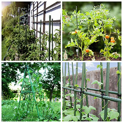 Mininfa steel garden stakes create a discreet trellis for vines.