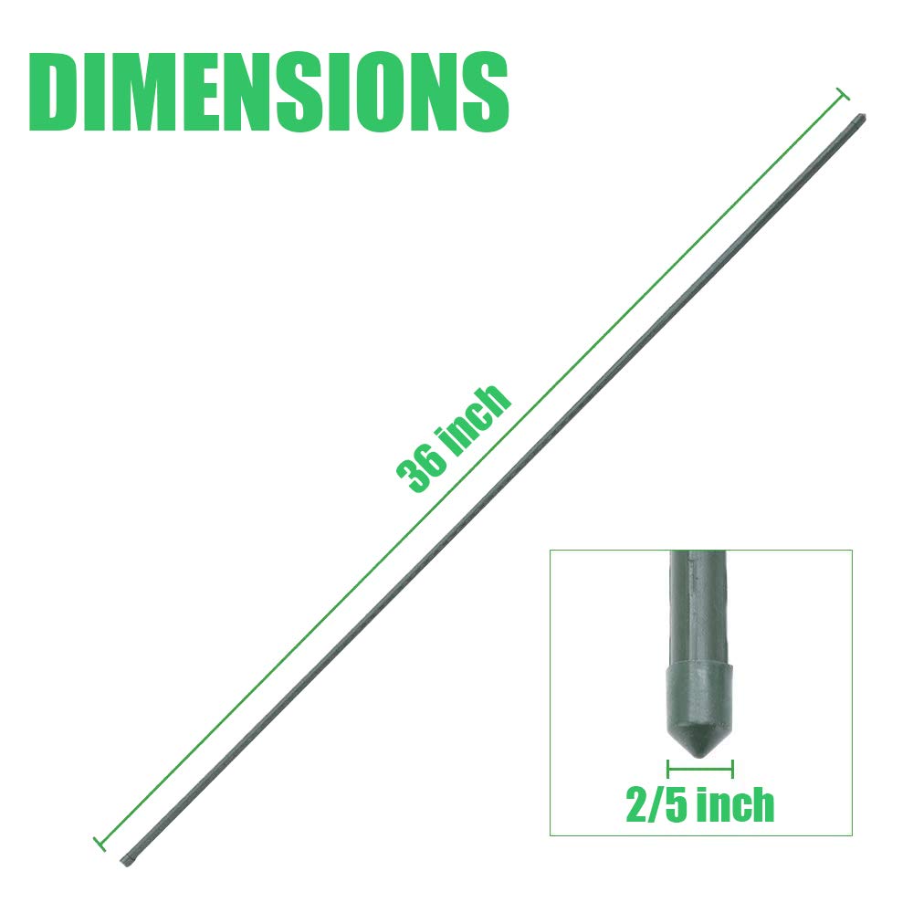 Mininfa stake keeps branches upright, promoting airflow and healthier fruit.